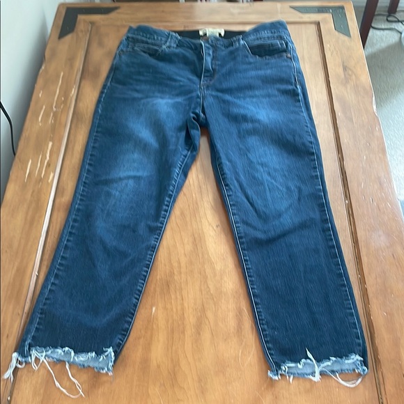Democracy AbTechnology Blue Ankle Cropped Jeans with Distressed Hems Size 14 - Picture 1 of 14